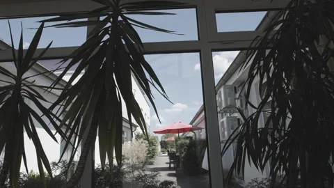 Large Indoor Plant at Window Overlooking Courtyard, Modern Building, Wide Shot Stock-Footage 341519956