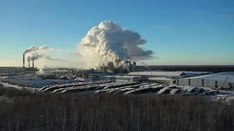A large industrial enterprise for wood processing in Siberian forests Stock Footage 169860297