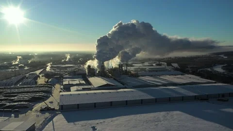 A large industrial enterprise for wood processing Stock Footage 169861700