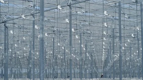 Large industrial greenhouses Stock Footage