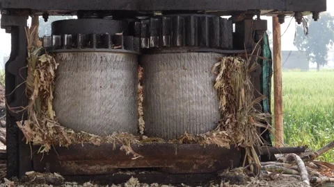 Large Industrial Sugarcane Juice Extraction Machine in Traditional Jaggery .. Stock Footage 331340920