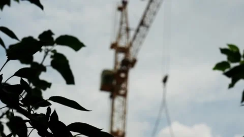 Large industrial tower crane operates behind foreground foliage with overcast Stock Footage 346773975