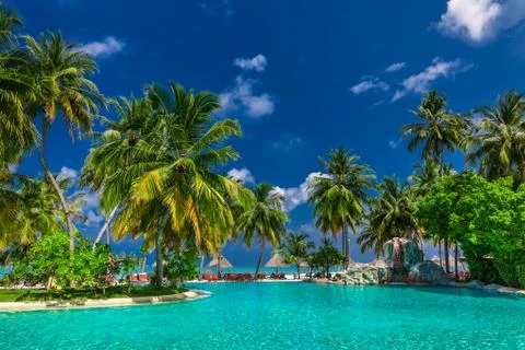 Large infinity swimming pool on the beach with palm trees and umbrellas Stock Photos