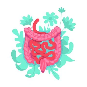 Large intestine flat concept vector illustration Stock Illustration