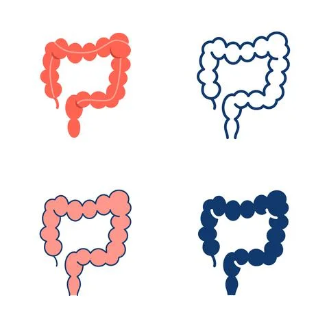 Large intestine icon set in flat and line style Stock Illustration