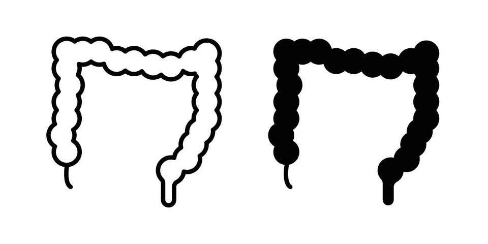 Large intestine icon set. Vector EPS 10 Stock Illustration