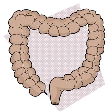 Large intestine on purple Stock Illustration