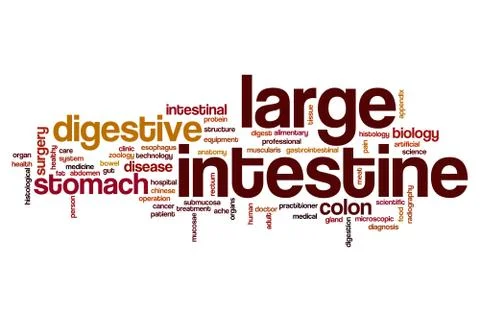 Large intestine word cloud Stock-Illustration