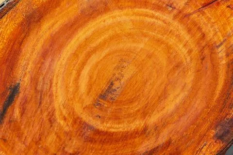Large irregular tree cut in a circular circle pattern on wood texture backgro Foto stock