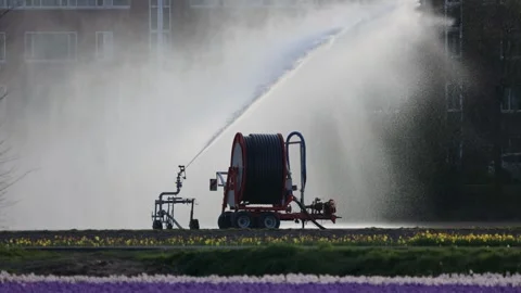 A large irrigation machine sprays water over a field of blooming flowers Stock-Footage 309307328