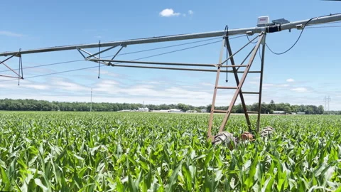 Large irrigation system spans lush green crop field Stockbeeldmateriaal 337578085