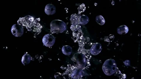 Large juicy blueberries are bouncing with splashes of water on black background Stock Footage 212738533