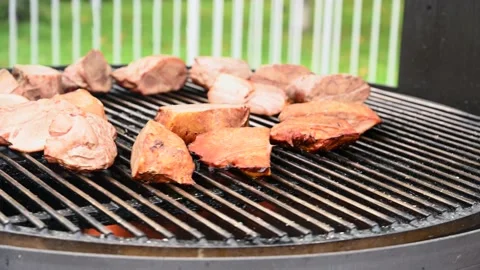 Large juicy cuts of meat are grilled. Rotating grill, outdoor cooking concept Stock Footage 162809723