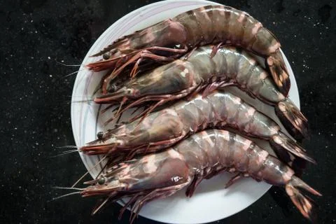 Large King Prawns Stock Photos