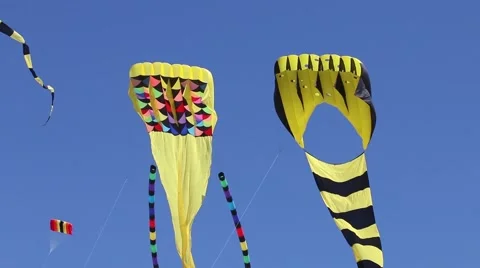 Large Kites Dancing in the Sky Stock Footage 54102089