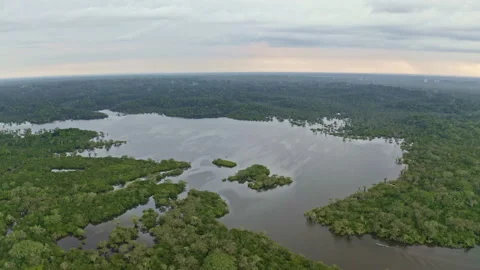 A large lagoon in the Amazon tropical forest with two canoes Stock Footage 169903056