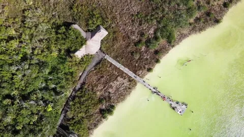 A large lake with a deep cenote inside. Video stock 157626300