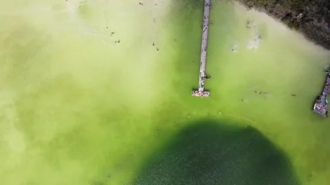 A large lake with a deep cenote inside. Video stock 157626360