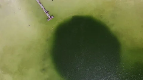 A large lake with a deep cenote inside. Video stock 157626650