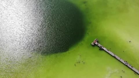 A large lake with a deep cenote inside. Video stock 157626653