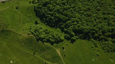 A large lake with a drone Stock Footage 237116748