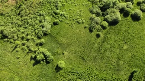 A large lake with a drone Stock Footage 237885565