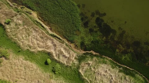 A large lake with a drone Stock Footage 237885615