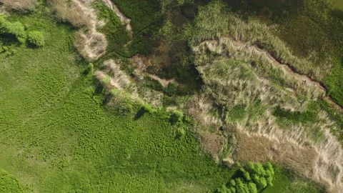 A large lake with a drone Stock Footage 237885653