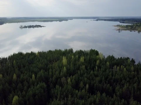 A large lake with small islands. Green Forest. Stock Footage 76950348