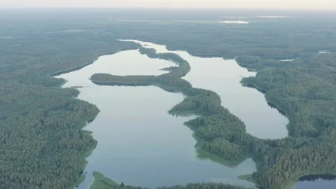 Large lake system surrounded by forest from aerial view Video stock 333837821