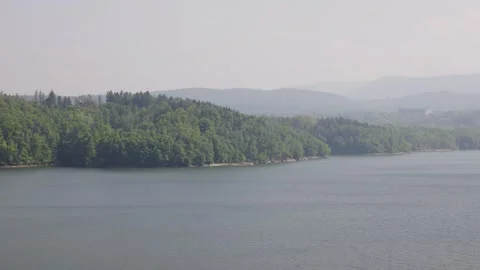 Large lake with trees on the shore Stock Footage 254583299