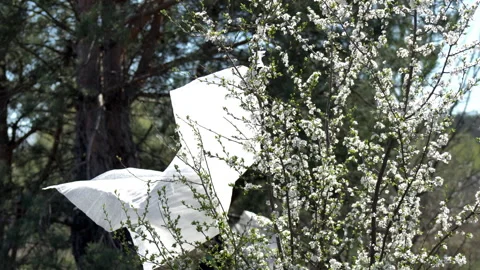 Large landfill dump of construction waste Stock Footage 308596098