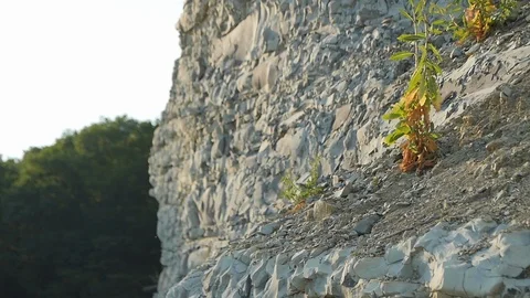 Large Landslide Stock Footage 89738223