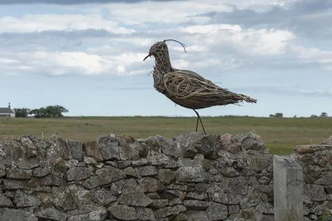 Large Lapwing bird made of willow on a wall Stock Photos