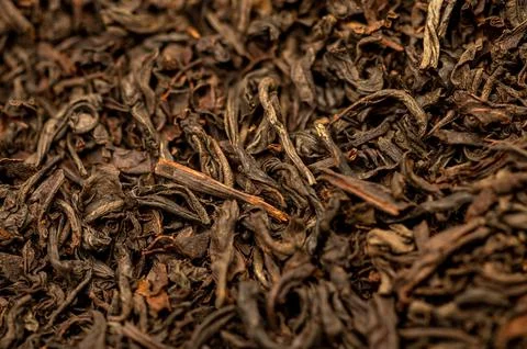 Large-leaved black tea in bulk on the table. Close-up of the surface texture Stock Photos