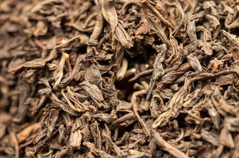 Large-leaved black tea in bulk on the table. Close-up of the surface texture Stock Photos
