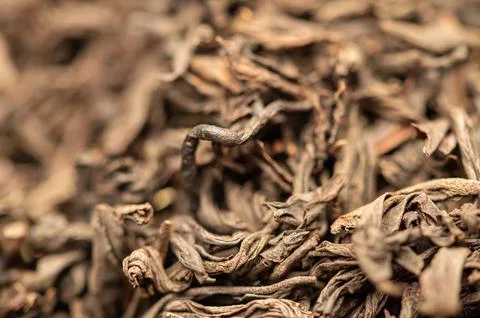 Large-leaved black tea in bulk on the table. Close-up of the surface texture Stock Photos