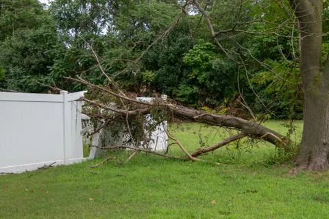 Large limb that fell off a tree destroying part of a white metal fence leavin Stock Photos