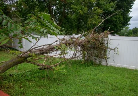 Large limb that fell off a tree destroying part of a white metal fence leavin Stock Photos