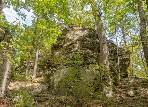 Large limestone rock formation in dense forest Stock Photos