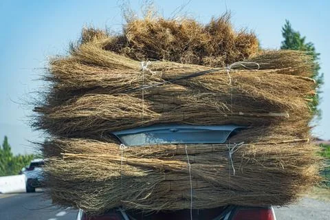 Large load of hay bundles transported on a car Foto stock