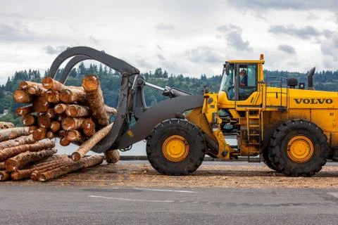 Large loader moving logs on pier with water in background Stock Photos