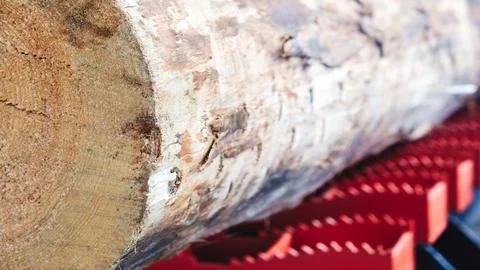 A large log is being cut into smaller pieces. The log is surrounded by red an Stock-Fotos