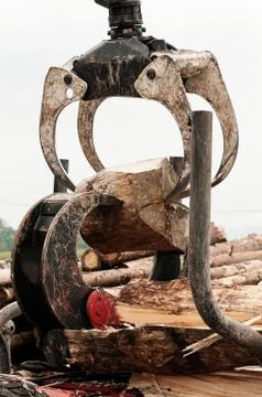 Large log being split by timber jaws and log jaw wood splitter Stock Photos