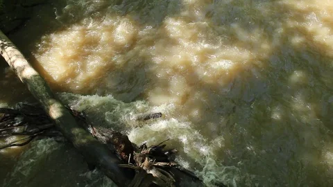 Large Log Blocking Off River Stock Footage 106675313