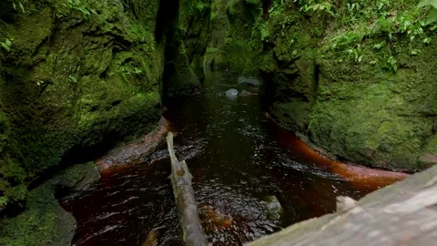 A large log is floating in a river Stock Footage 306488860