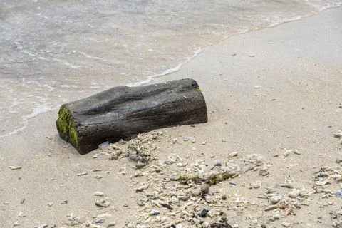 Large log is laying on the beach Stock-Fotos
