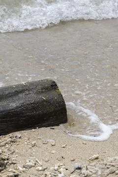 Large log is laying on the beach Stock Photos
