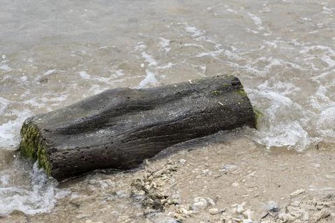 Large log is laying on the beach Foto stock