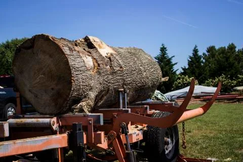 Large log positioned on portable sawmill 스톡 사진